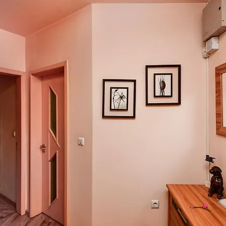 Budget 1br Flat Downtown Lejlighed